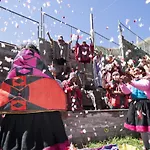 Ayahuasca Comunidad De Chamanes Del Peru