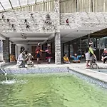 Ayahuasca Comunidad De Chamanes Del Peru
